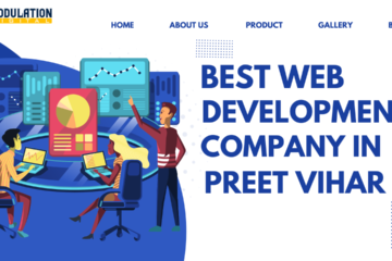 Best Web development Company in Preet vihar Delhi